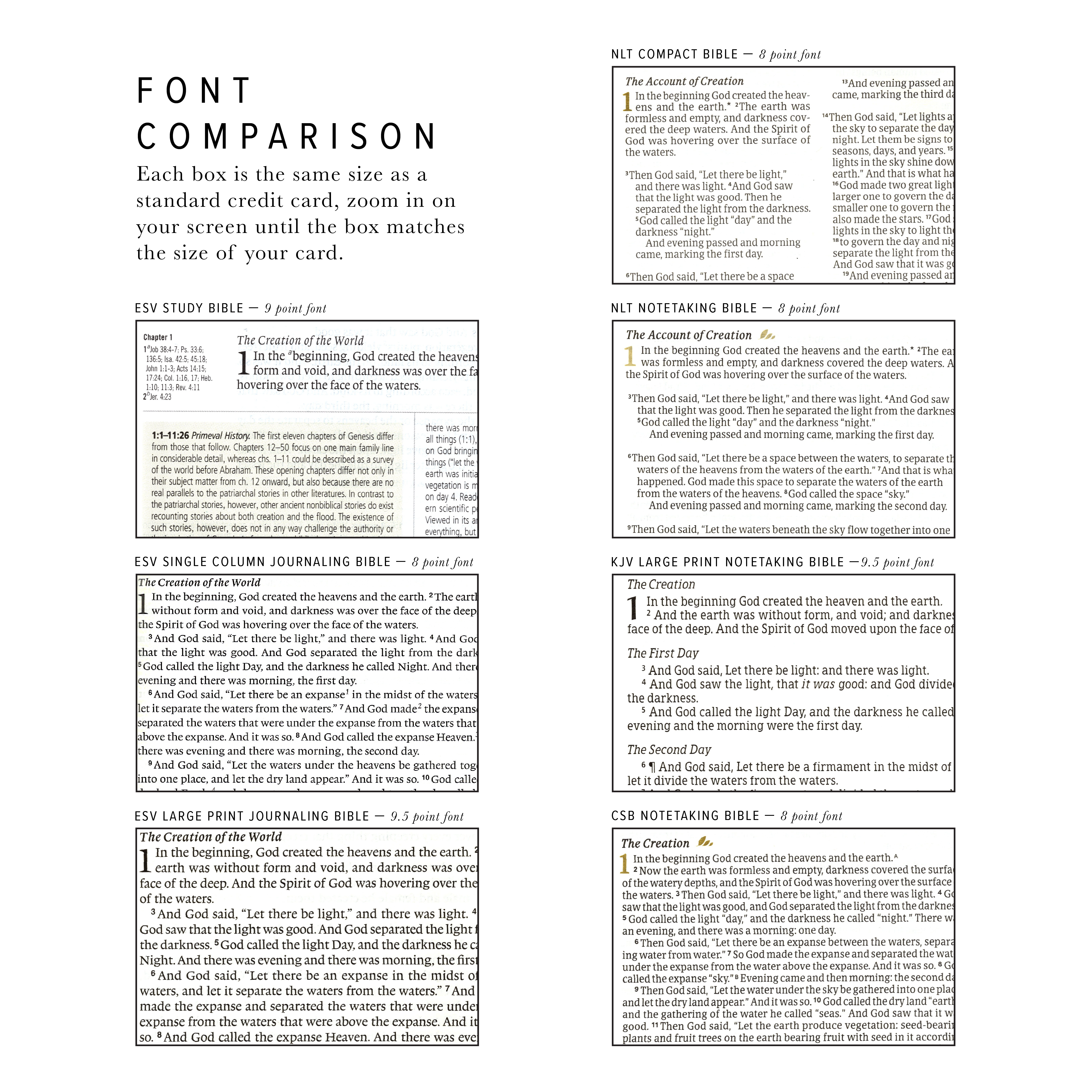 CSB Notetaking Bible: Rosedal Theme