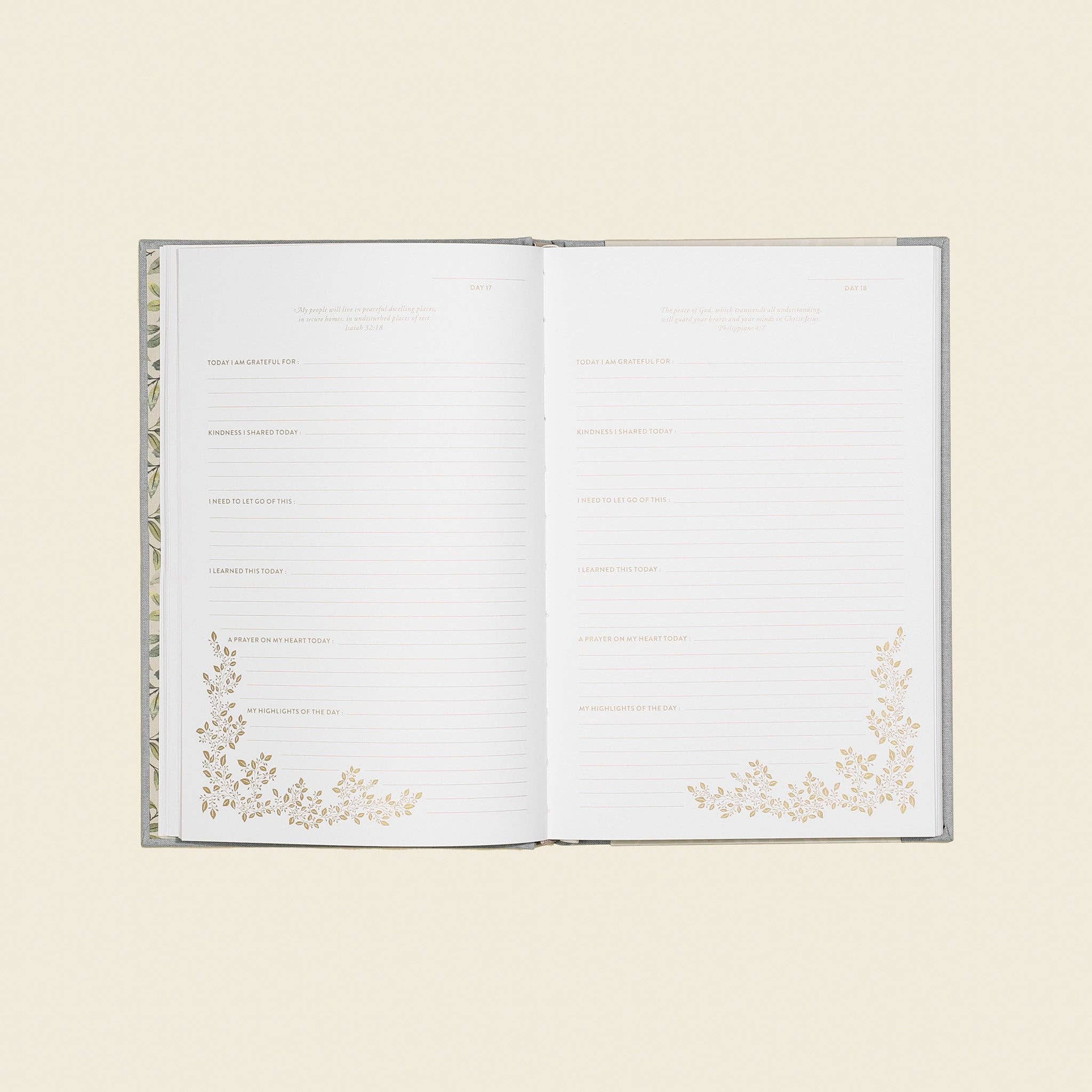 More Than Gratitude: Guided Journaling, Prayer, & Scripture
