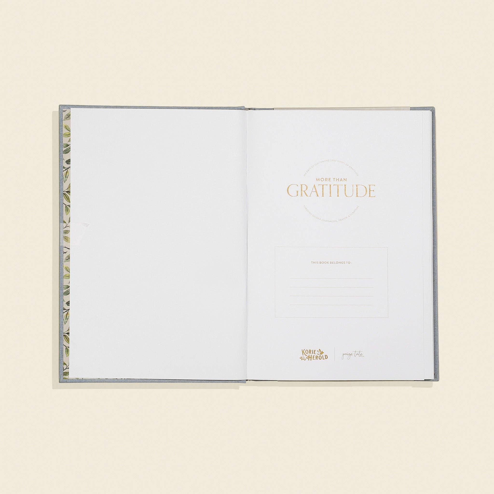 More Than Gratitude: Guided Journaling, Prayer, & Scripture