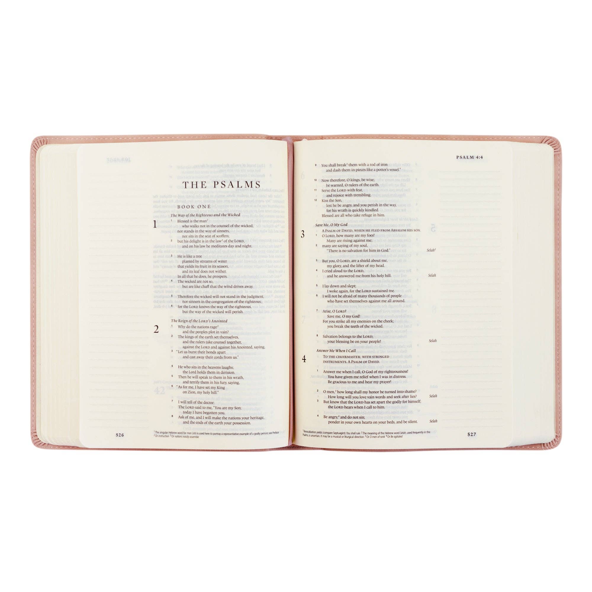 ESV Journaling Bible : Shiloh Theme